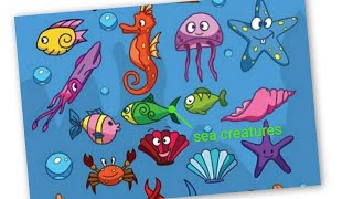 Sea animals and related worksheets