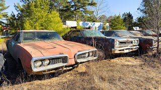 MASSIVE Southern SECRET Junkyard Full of Classic Cars!