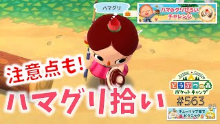 【ポケ森】ハマのクリひろいチャレンジ！注意点も！【どうぶつの森ポケットキャンプ】#563 無課金