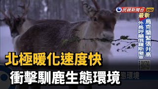 北極暖化速度快 衝擊馴鹿生態環境－民視台語新聞