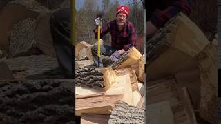 Dashan Vlog: I'm a Lumberjack and I'm OK