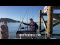 新西兰小巴黎海钓，首战即爆箱！猪鱼喵喵雨红鲷超级多！fishing at little barrier island