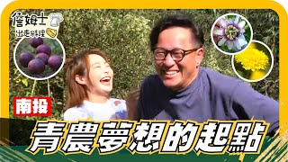 🔎《姆士尋寶去》南投青農夢想起點 夫妻攜手打造苦茶園、黃澄澄 香味四溢杭菊園、超甜百香果 授粉、採收 達人技術有一套