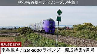 [秋の宗谷線を走るパープル特急]キハ261-5000 ラベンダー編成 宗谷線特集2021