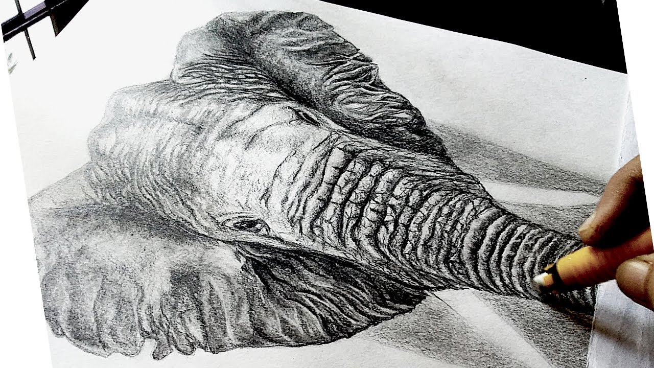 How To Draw Realistic Elephant, Realistic Elephant Drawing, Realistic ...