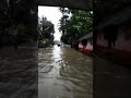 palakkad flood water in town kerala flood പാലക്കാട് വേല 2018