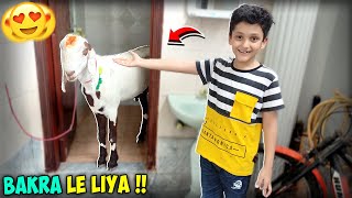 Hamara Qurbani Ka Bakra Aagya 😍😍 | Vlog#2 | Ft.@msvlogs35