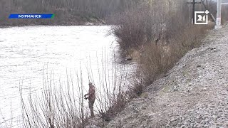 В Мурманской области стартовал сезон семужьей рыбалки.