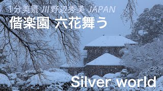 【六花舞う】偕楽園 雪化粧【Japanese garden】Silver world JAPAN 風花がやがて大きな結晶を運んできた 偕楽園に人影はなく ただ 深深と美しい白に染まっていく