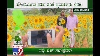 #WorldEnvironmentDay: Sunflower Farm In Now Center Of Attraction Around Chamarajanagar