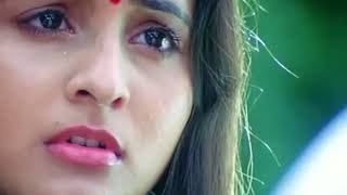 South Love ❤️ Story Hindi Movie Best Scene||  Rocky Bhai Yesh Ki Best Scene|| #video