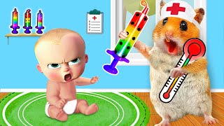 Hamster Pretend A Doctor Check Up Bro Got Sick \u0026 escape Amazing Maze Challenge | Life Of Pets HamHam