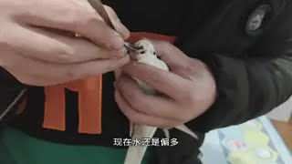 用勺子给小鸟喂药的教程