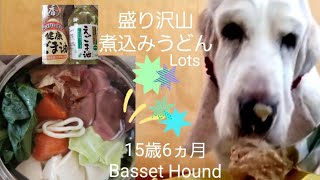 介護老犬へ手作り飯！栄養満点　緑内障バセットハウンドと猫Dog homemade rice.The senior dog also lost the appetizing smell.