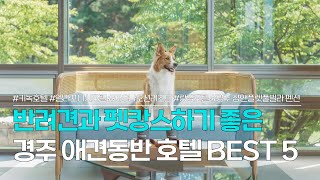 경주 애견동반호텔 BEST 5 | 우리집 반려견과 함께 펫캉스 즐기기 | 키녹호텔, 엘라포니시호텔, 마우나오션리조트, 랑잠호텔, 경주 샵앤플렛풀빌라 펜션