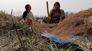 ৫ কাঠা জমির ধান লাঠি দিয়ে ঝাড়া হল।।  হাতে খুব ব্যথা ।।