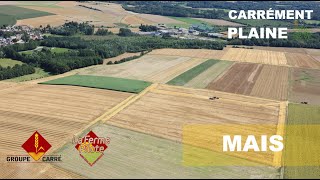 CARREMENT PLAINE : MAIS 09/06/2021