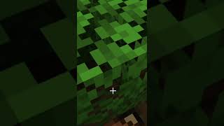 Jak zacząć grać w minecraft część 3 pierwszy kamień