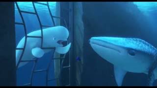 'Finding Dory' (2016)  Clip 'You're a Beluga'