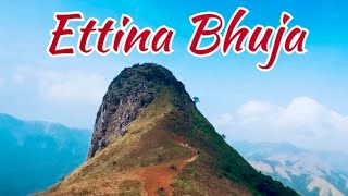 Ettina Bhuja | Saklespur |Weekend_Trip | Bangalore |Pravat plantation stay | Devarmane viewpoint |