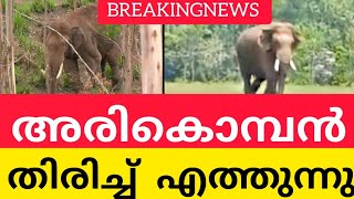 അരികൊമ്പൻ തിരിച്ചെത്തി #tamilnadu #arikomban #chinnakkanal #breakingnews #periyartigerreserve #viral