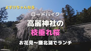 【ロードバイク】高麗神社の枝垂れ桜を見に行きました！〜鎌北湖でランチ