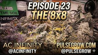 Episode 23 The 8x8