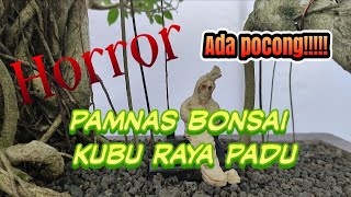 [LENGKAP] Pameran Bonsai Nasional 