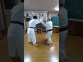 ④五段科目 五花拳 閂片手投 kannuki katatenage english commentary 少林寺拳法 shorinjikempo