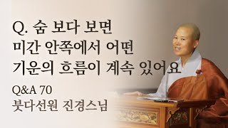 숨 보다 보면 미간 안쪽에서 어떤 기운의 흐름이 계속 있어요ㅣ붓다선원 진경스님ㅣ2022년 법문