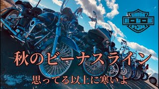 【長野ツーリング】秋のビーナスラインは寒い【白樺湖】【上諏訪温泉】【千人風呂】【Harley-Davidson】【チョロスタイル】