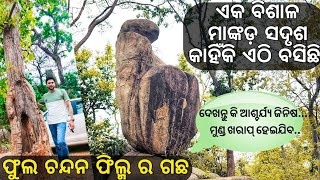 Chikinia Park | ଚିକିଣିଆ ପାର୍କ କେନ୍ଦୁଝର | Chikinia Keonjhar | ଏକ ଅଦ୍ଭୁତ ଯିବ ସଦୃଶ ବସିଛି