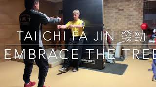 Tai Chi 1 Move with Fajin (Fajing) 發勁 by  Master Jimmy Wong