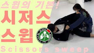 무조건 할 수 있어야 합니다! 할 수 있습니다. [주짓수 테크닉] 시저스 스윕 Scissors Sweep