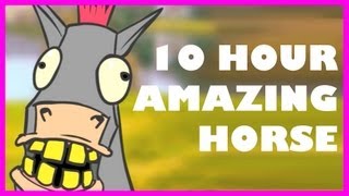 Amazing Horse | 10 Hours