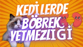 KEDİLERDE BÖBREK YETMEZLİĞİ