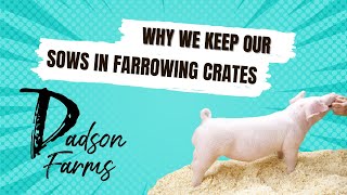 We we keep our Sows in Farrowing Crates? We want to produce healthy livestock. #pigs #livestock