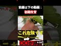 【いちごの栽培】葉の付け根が赤い！！放置はキケン！ 農業 いちご農園 家庭菜園 shorts