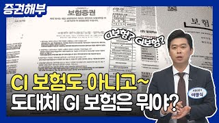 CI보험도 아니고~ 도대체 GI보험은 뭐야