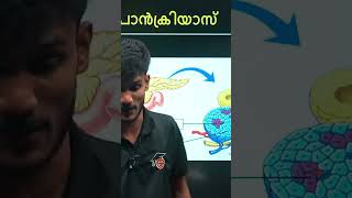 വാഴക്കുലപ്പാട്ട് 😂✌️| Eduport SSLC |