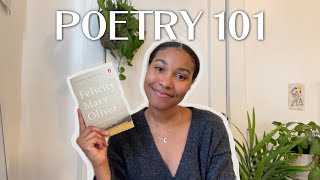 5 Tips on how to understand poetry (from a poet!!!)