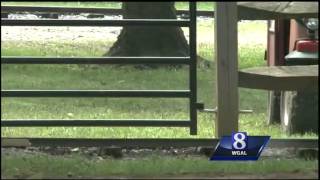 Rough and Tumble: A Susquehanna Valley tradition