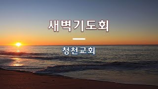 [●새벽기도회] 청천교회 2023.11.22