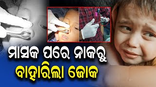 ମାସକ ପରେ ନାକରୁ ବାହାରିଲା ଜୋକ || Child|| Nose|| Doctor||