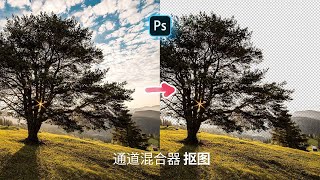 4分钟学会运用通道混合器快速抠出复杂大树【Photoshop复杂抠图教学】