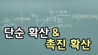 3. 단순확산\u0026촉진확산(세포막을 통한 물질이동)