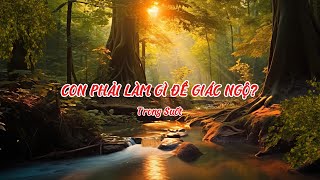 Bài hát: CON PHẢI LÀM GÌ ĐỂ GIÁC NGỘ? | Trong Suốt