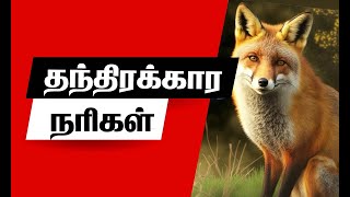 FOX INFORMATION tamil நரி பற்றிய சுவாரஸ்யமான தகவல்கள்