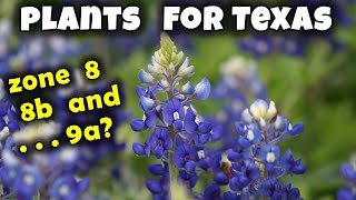 Plants for Texas Zone 8, 8b 9a 🌻🌵🌱