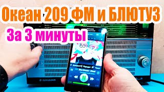 КАК за 3 минуты Сделать ФМ и БЛЮТУЗ в приемник ОКЕАН 209